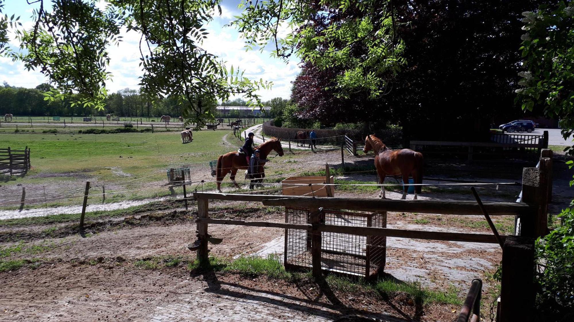 Reiterhof Jaegersburg Ferienwohnung Varel Esterno foto