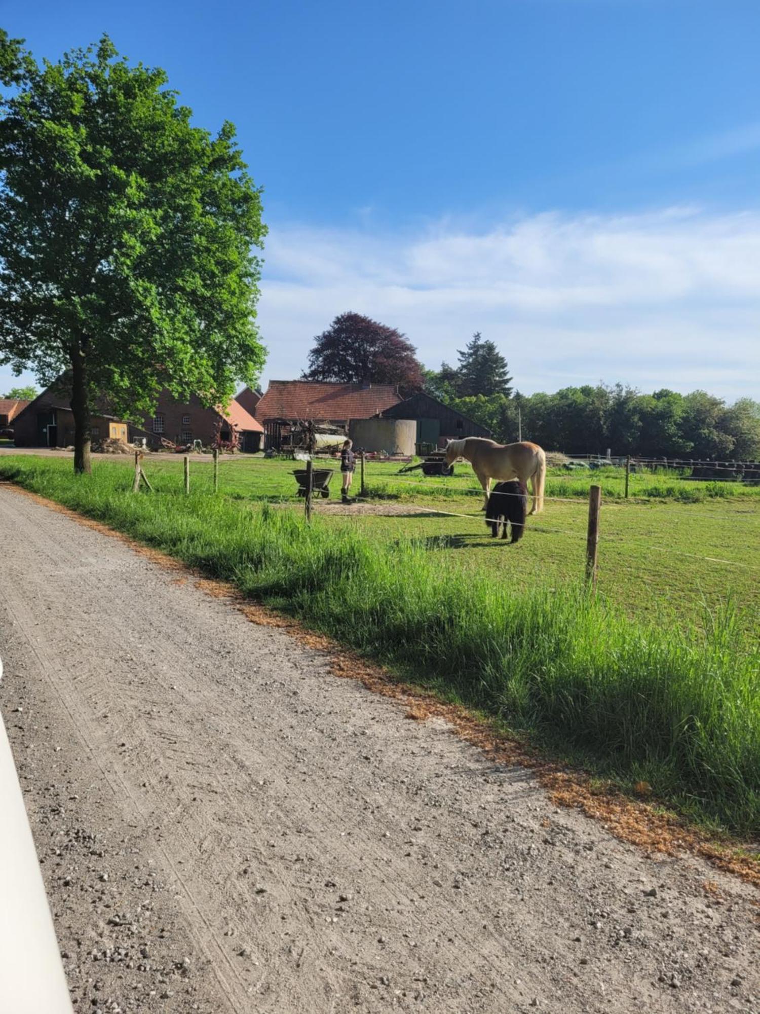 Reiterhof Jaegersburg Ferienwohnung Varel Esterno foto